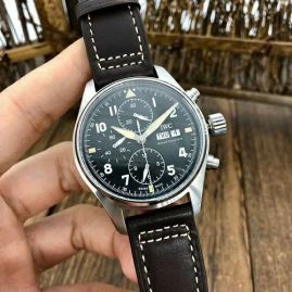 Picture of IWC Watch _SKU1746833977101531